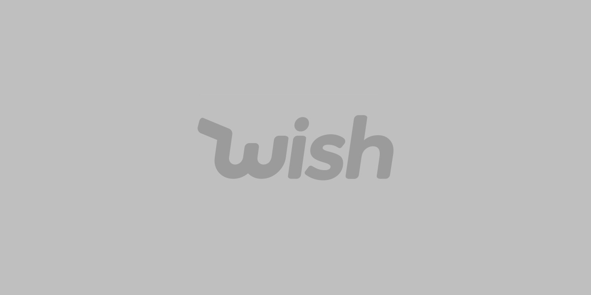 KEUNTUNGAN DAN  CARA MENJADI PENJUAL DI PLATFORM WISH